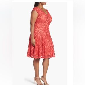 Tadashi Shoji embroidered fit and flare plus size dress in cantaloupe size 22W